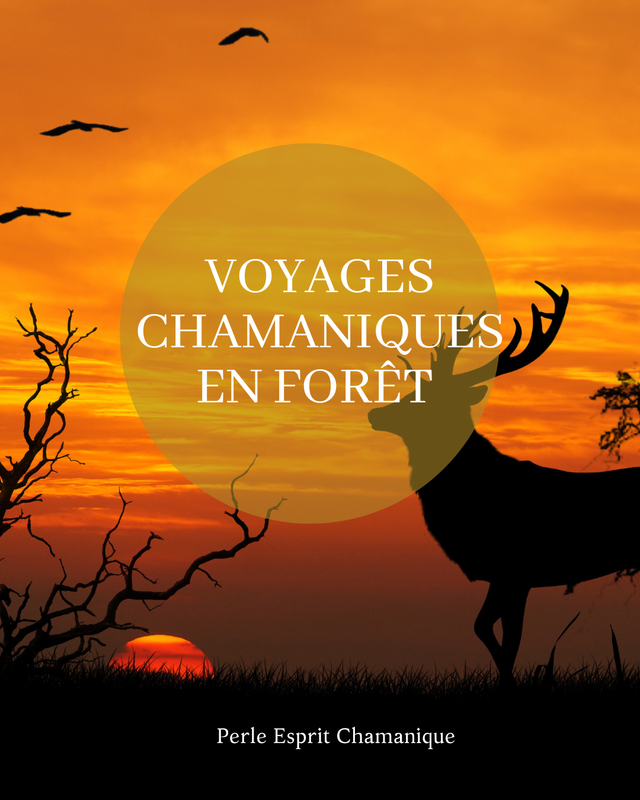 Voyages / Retraite  Chamaniques dans les bois