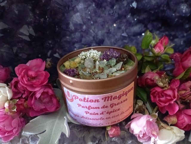 Potion Magique 💚