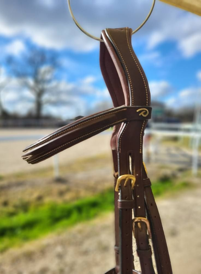 Bridon DYON havane – muserolle corde – têtière anatomique - full - occasion
