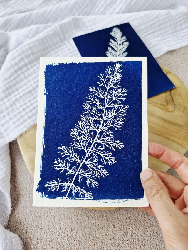 Mini CyanÔ - Carte - Achilée #1