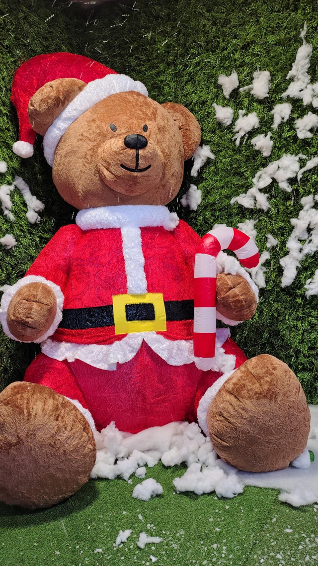 Pacote 2 - Sonho de Família