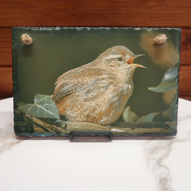 SALE! Photographic Slate