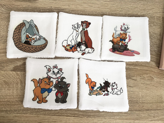 Débarbouillettes