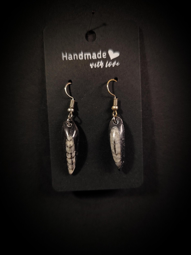 Boucles d&#039;oreilles Fossile Orthocéras
Argenté 