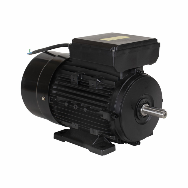 YL90L-4 MOTOR ELETR MONO LYNUS 2,0CV 4P IP55 BIVOLT 