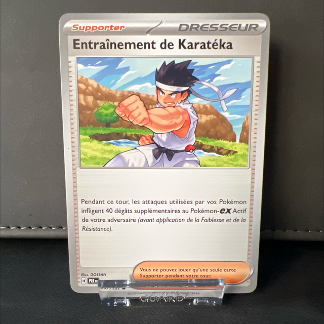 Entraînement de karatéka 097/131