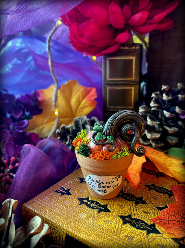 Expériences botaniques