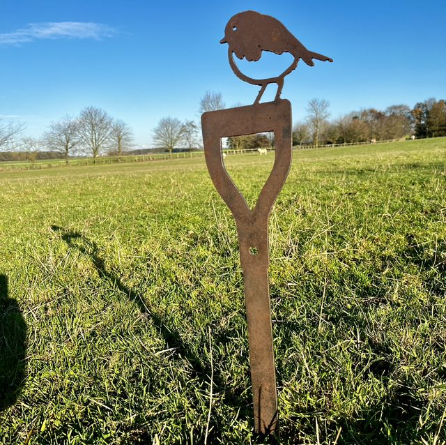 Robin on a Shovel Head