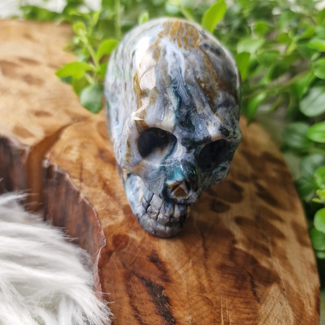 Ocean Jasper skull