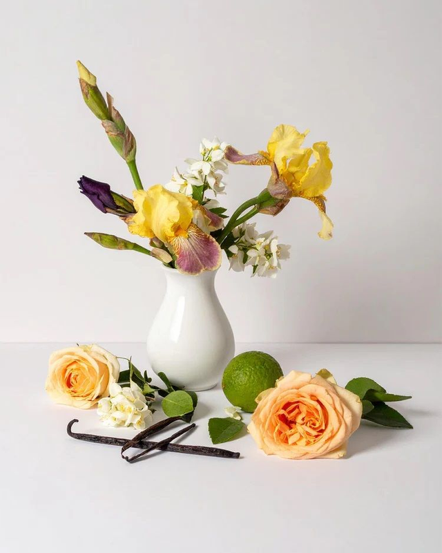 PARFUMS NOX - 2426 Évoque Shalimar Guerlain