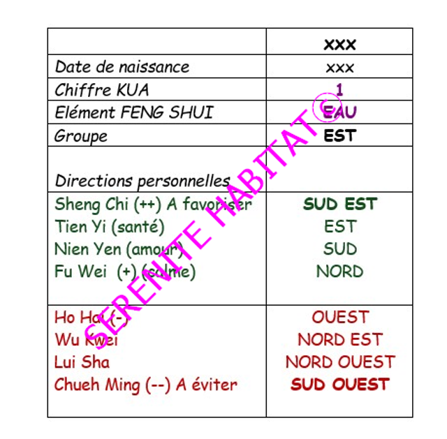 Carte énergétique Feng Shui individuelle (Chiffre KUA)