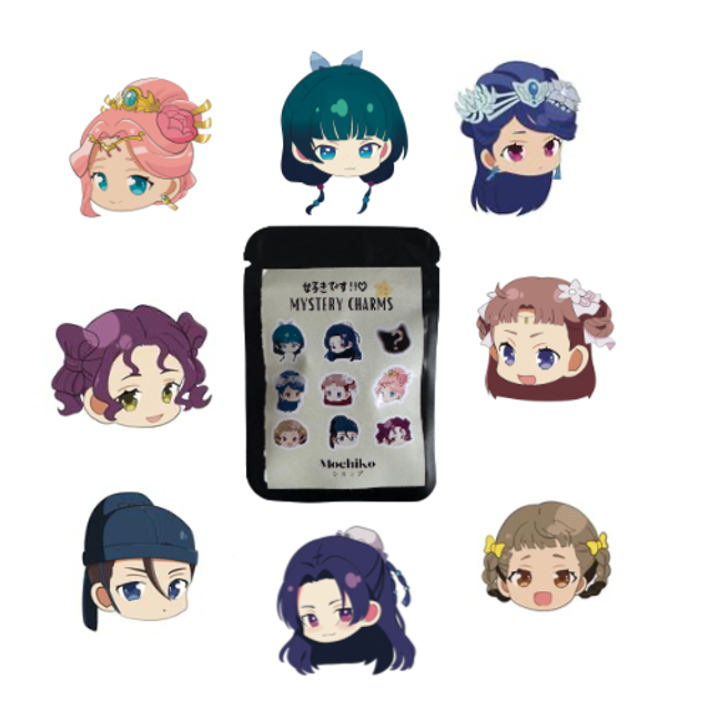 1 MYSTERY CHARMS CARNET APOTHICAIRE 