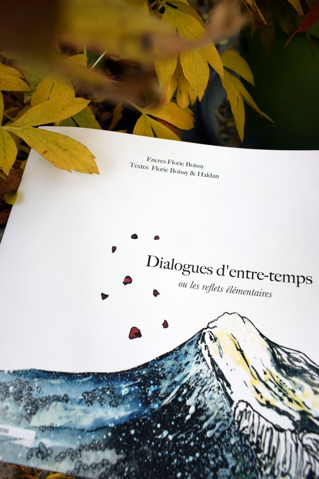 Dialogues d&#039;entre-temps ou  les reflets élémentaires