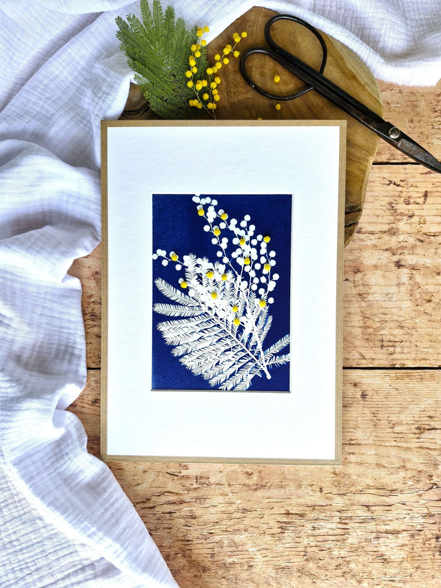 💙 Cyanotype encadré - 1 - Mimosa Ô!  