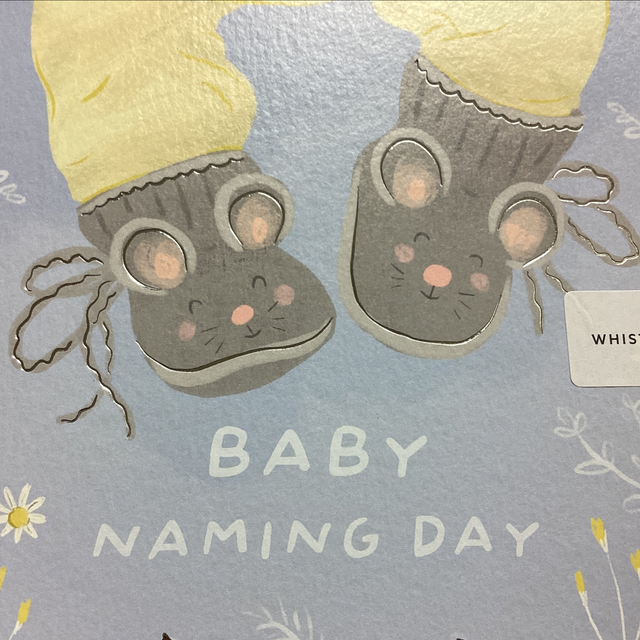 Baby Congratulations - Baby Naming Day WF