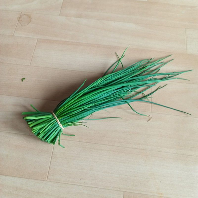 Botte de ciboulette