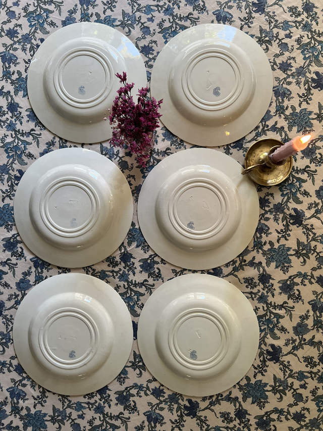 OISEAUX - Suite de 6 assiettes creuses aux Oiseaux par la manufacture française de Gien - Terre de Fer