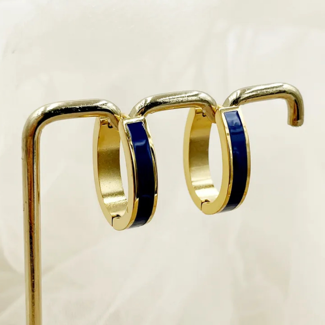 Stainless Steel Colour Block Oval Earrings