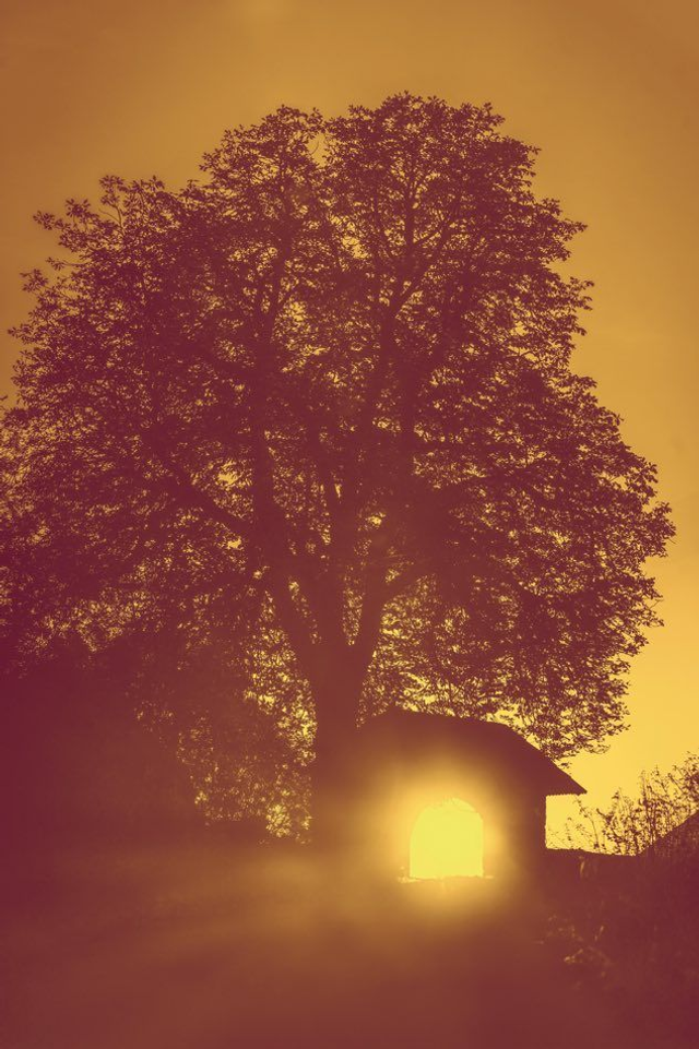 I am the way that leads beyond paths, guiding hearts to places yet unseen