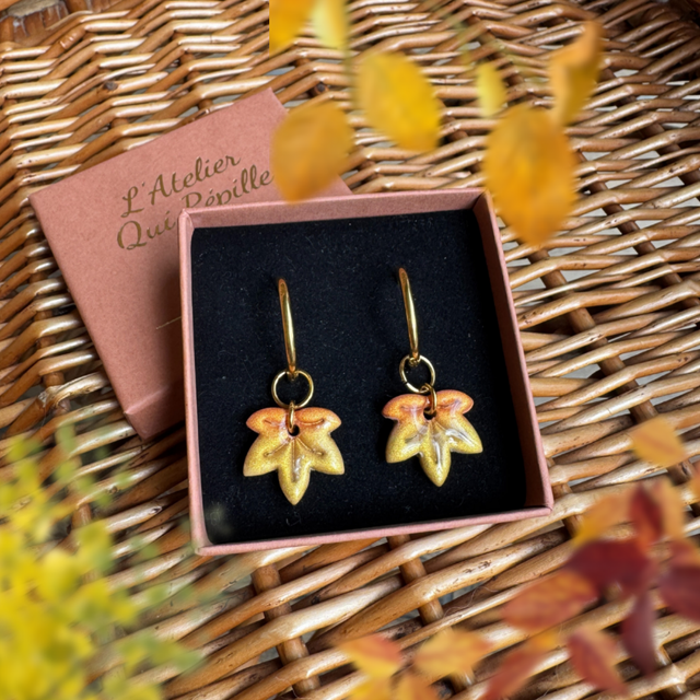 Acérines Bicolore citrouille et doré