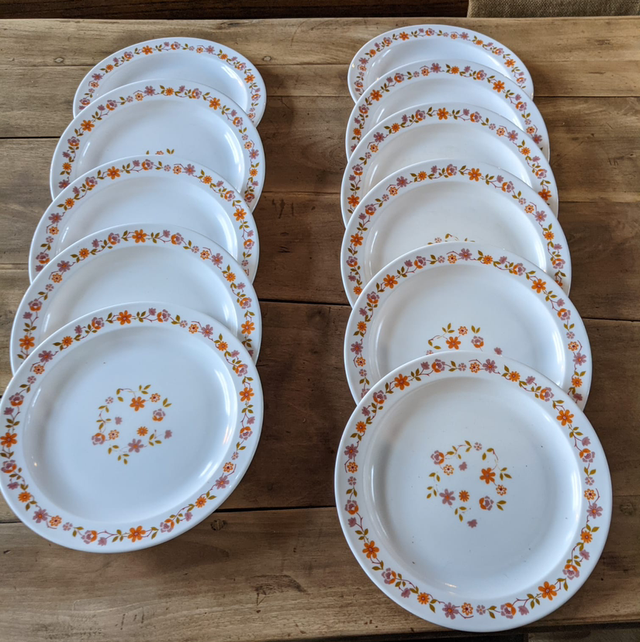 assiettes arcopal fleurs vintage