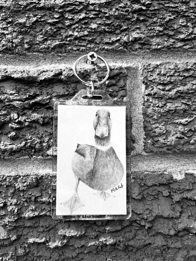 Duck Keyring 