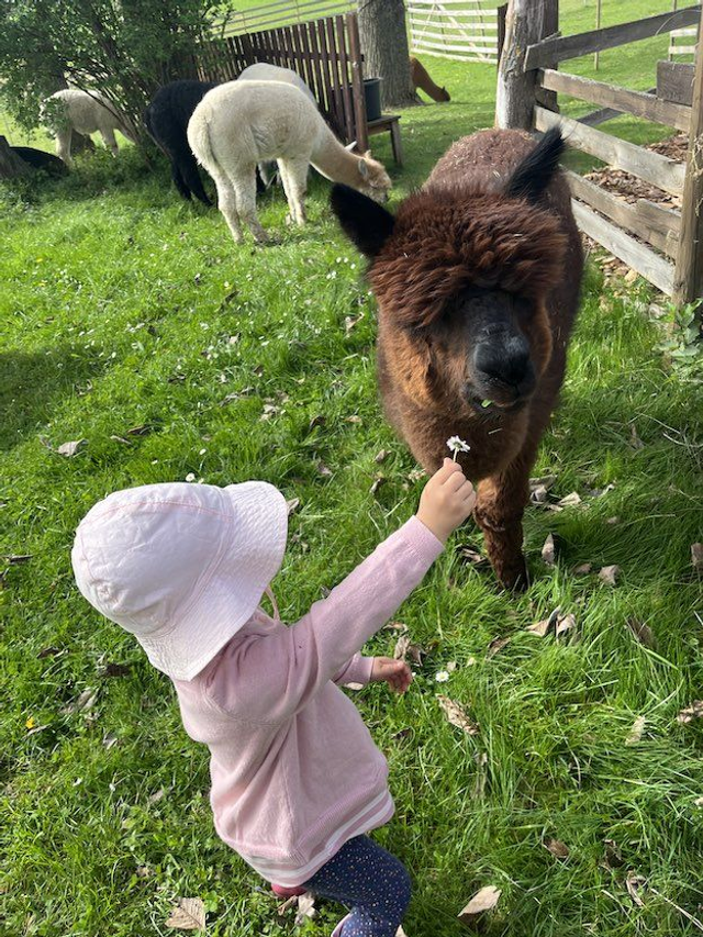 Gutschein Familien-Weidezeit