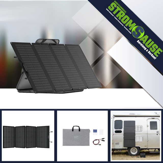 Ecoflow Tragbares 160 Watt Solarpanel