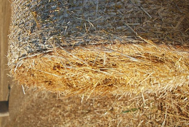 Straw Big Bale 120x180cms  (square bales are 130x220 90€)