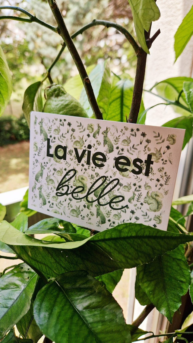 Carte "La vie est belle" - animaux verts