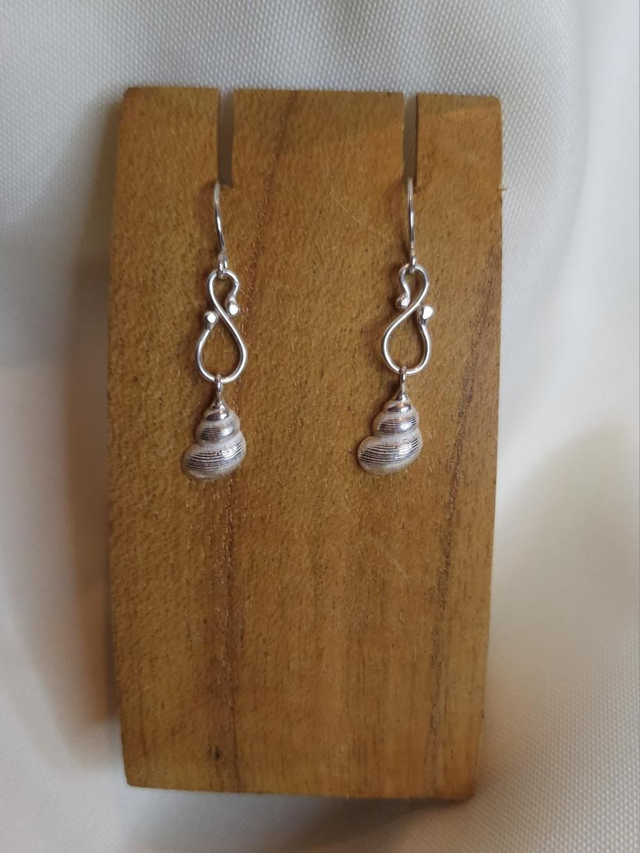 Latiaxis shells on infinity link earrings