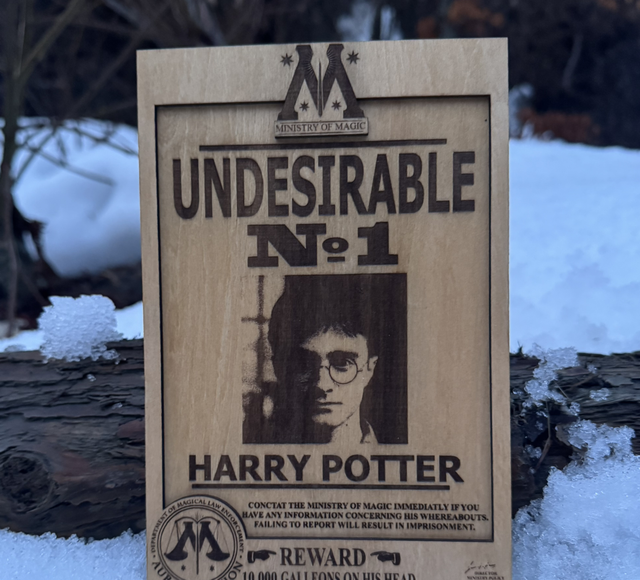 Harry Potter - Pack Gryffondor