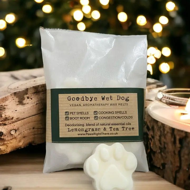 Paws Right There Wax Melts - Goodbye Wet Dog