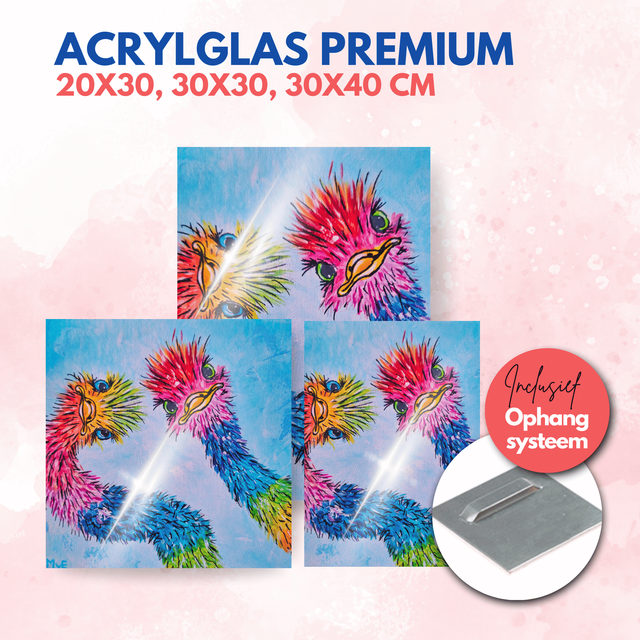 Struisvogel 2 | Acrylglas premium