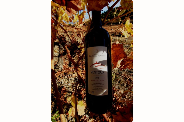 Ventoux Rouge 2020// Les Roches Fortes 