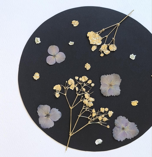 Herbier Poésie Nocturne