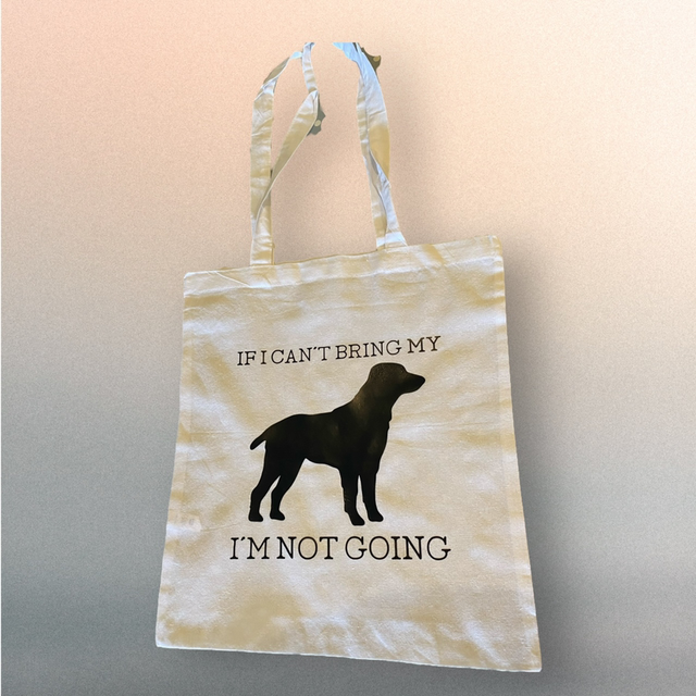 Bag - if I can’t bring my dog