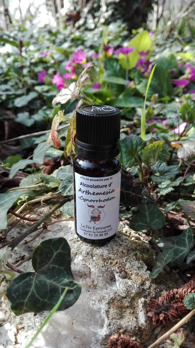 MACERAT ALCOOLIQUE d&#039;Arthemesia &amp; Cynorrhodon [BIEN-ETRE Hivernal] 10ml