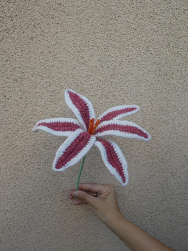 Lys blanc et bordeaux 