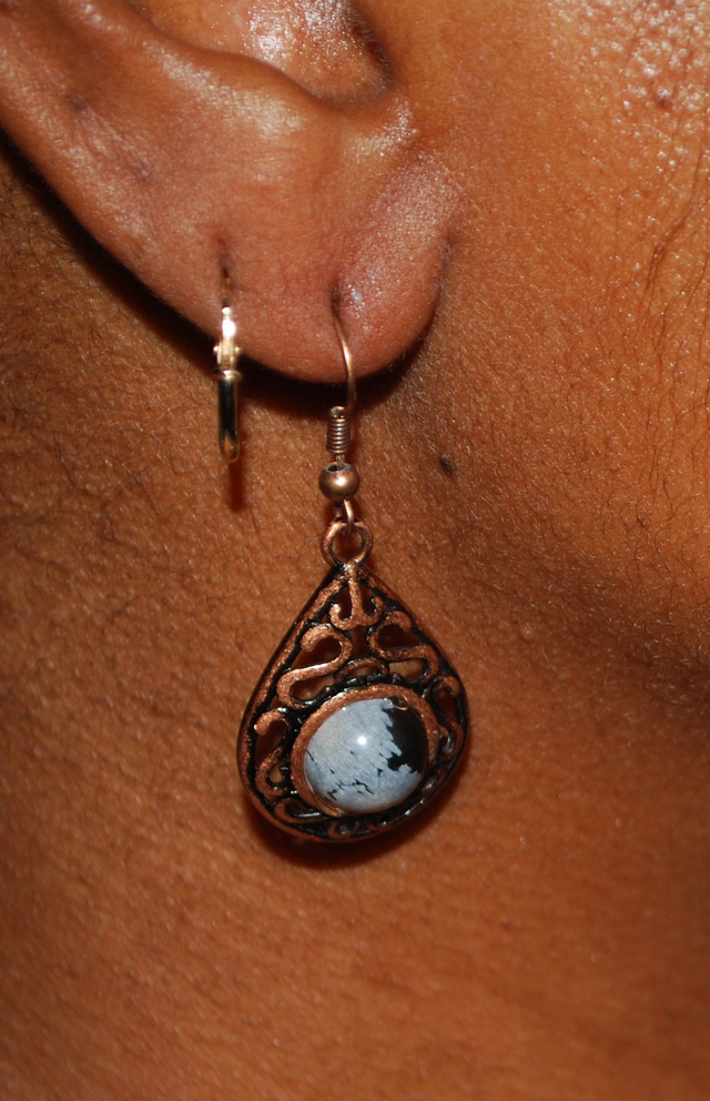 Boucles d&#039;oreille astrophyllite