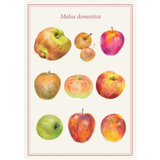 Apple Day Print