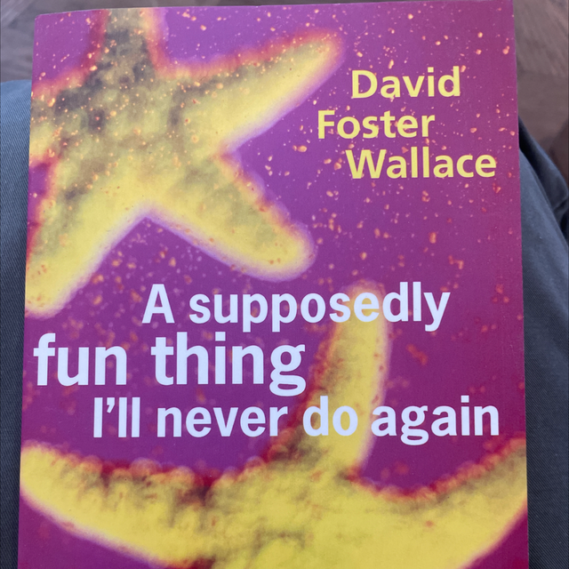 A Supposedly Fun Thing I’Ll Never Do Again