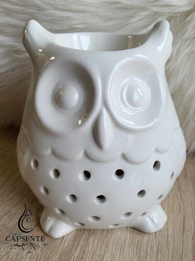 Brûleur Hibou