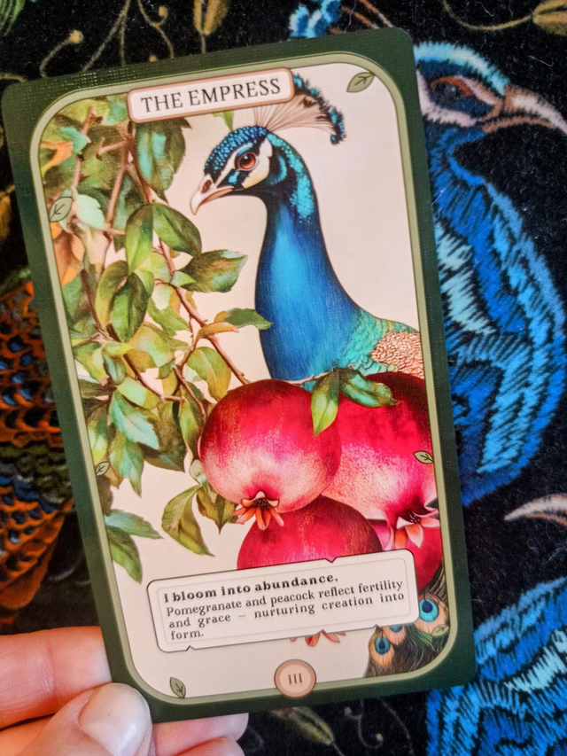 Winged Blooms Tarot: the symbolic beauty of birds and flowers * by Carolyn Zing