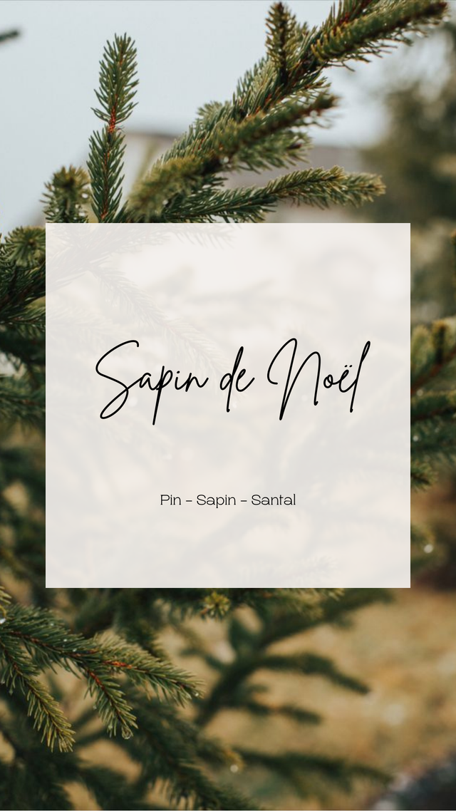 Bougie Parfumée Rechargeable - Sapin de Noel 245g - pot ton pierre