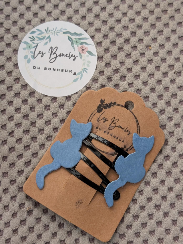 Barrette b051