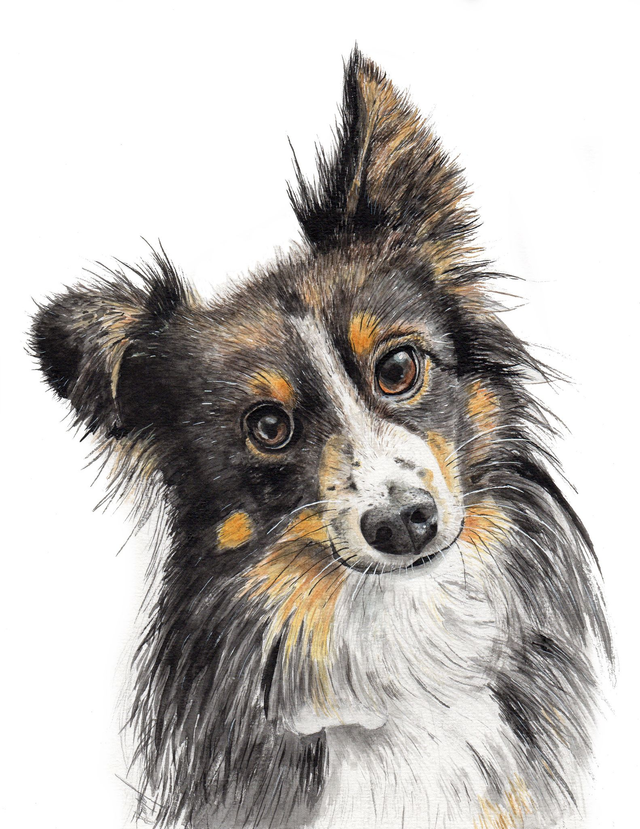 Portrait sur commande bon cadeau 18 cm x 24 cm encadré