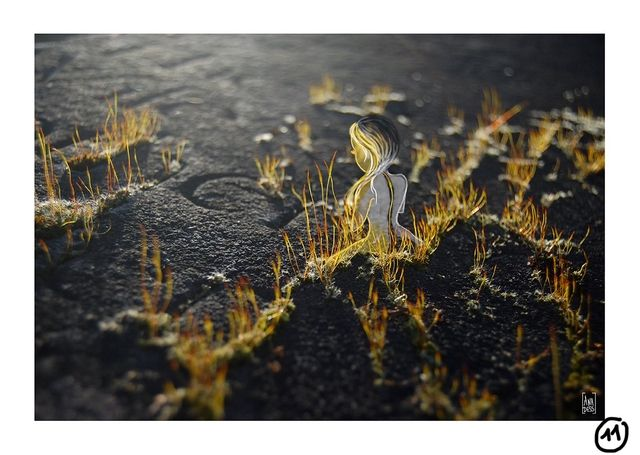 Posters "La Traversée des Voiles " - EIRE