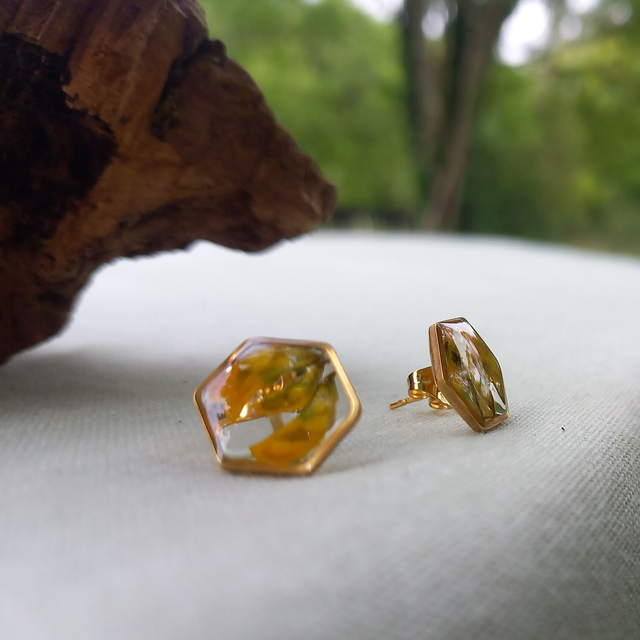 Puces d'oreilles ∙ doré ⬡ hexagonales Coronilla