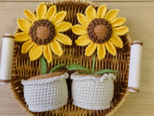 Corchet Sunflower planter